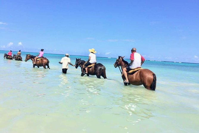 Secret Falls, Blue Hole, and Horseback Riding from Ocho Rios - Key Things That Make This Ocho Rios Day Feel Worth It