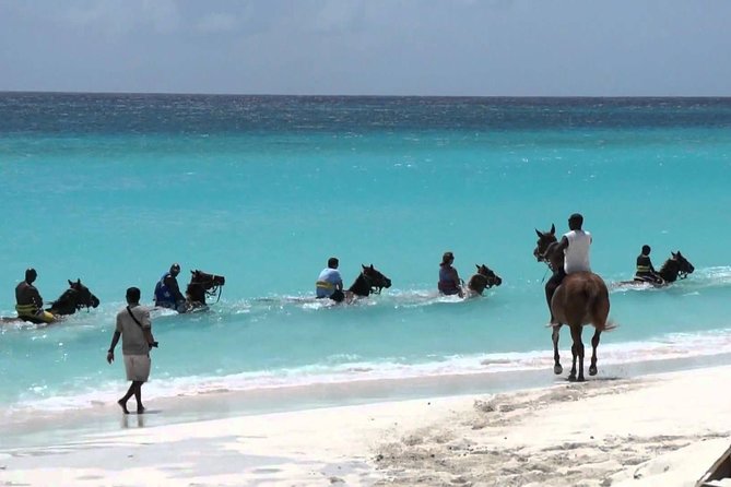 Secret Falls, Blue Hole, and Horseback Riding from Ocho Rios - Getting There from Ocho Rios: Pickup, Timing, and the Comfort Factor