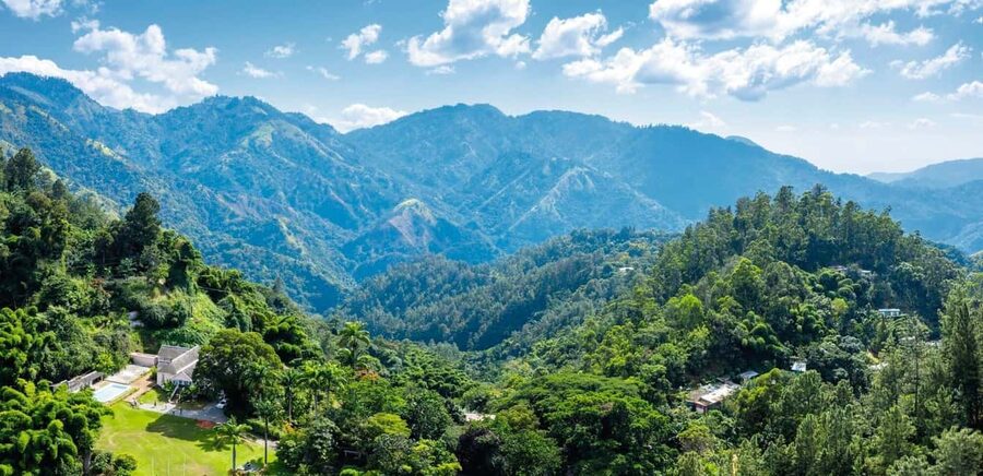 Shared/Private Full Day Blue Mountains Tour -Top Attractions - Blue Mountains first: the Craighton Estate coffee experience