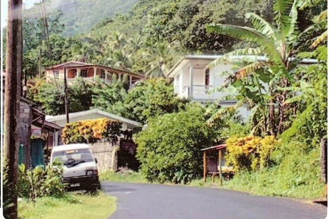 Sightseeing Tour in Ocho Rios - Pickup, timing, and how to protect your schedule