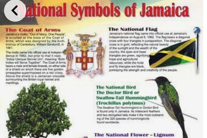 Sightseeing Tour in Ocho Rios - Blue Hole: wet rope jumps and the first paid entry