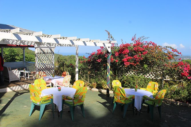 Skip the Line: Ahhh Ras Natango Gallery and Garden Admission Tickets - Your first big moment: city views and Jamaica’s hummingbirds
