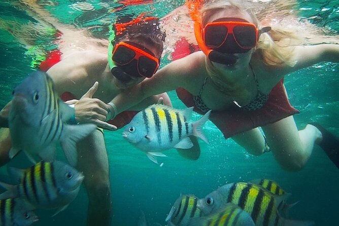 Snorkeling and Shopping in Montego Bay with Hotel pickup - How the Montego Bay Plan Actually Feels in Real Life