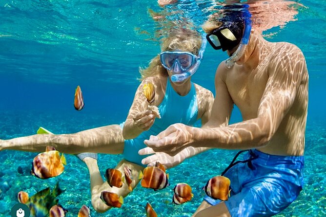 Snorkeling and Shopping in Montego Bay with Hotel pickup - Price and Value: Is $85 a Fair Deal?