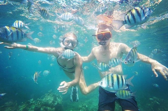Snorkeling and Shopping in Montego Bay with Hotel pickup - Group Size and Privacy: What Private Actually Means Here