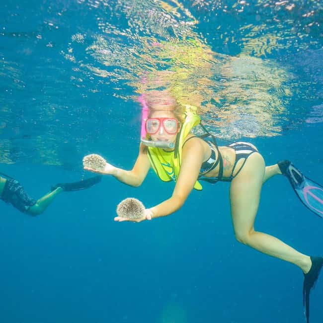 Snorkeling in Montego Bay with Transportation - What the Itinerary Timing Really Means
