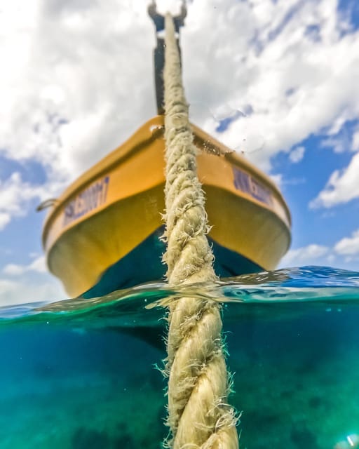 Snorkeling in Montego Bay with Transportation - Price and Value: Is $133 Worth It?