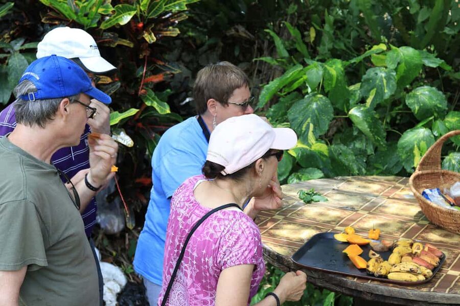 Taste of Jamaica Farm & Food Tour - Why Taste of Jamaica Works So Well for Food and Nature Lovers