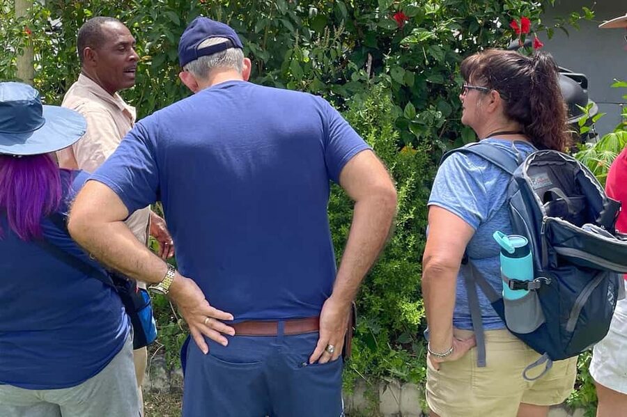 Taste of Jamaica Farm & Food Tour - Herbal Garden Tour: Medicinal Herbs With Local and Botanical Names