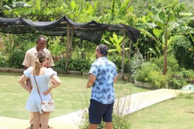 Taste of Jamaica Farm & Food Tour