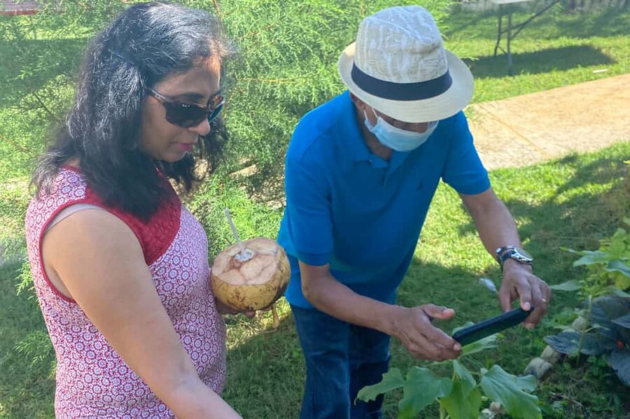 Taste of Jamaica Farm & Food Tour - Price and Logistics: Is $98 Worth 3.5 Hours?