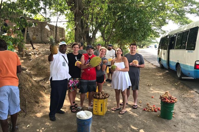 Taste of Jamaica Food Tour from Ocho Rios - Breadnut Hill Community Visit: See How Locals Live