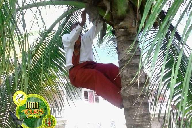 The AMAZING Montego Bay Tour - A smart way to do Montego Bay in 3 to 4 hours