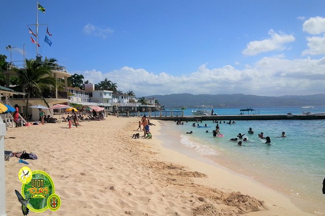 The AMAZING Montego Bay Tour - Guides and the difference a good driver makes