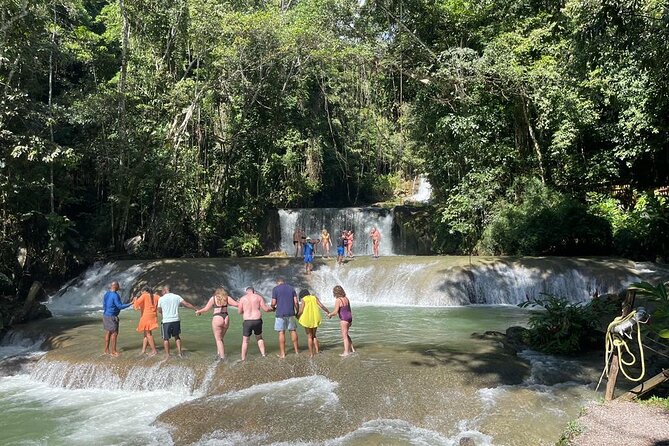 Tour to Black River and YS Falls - Stop 2: Black River Safari boat time for crocodiles and mangroves