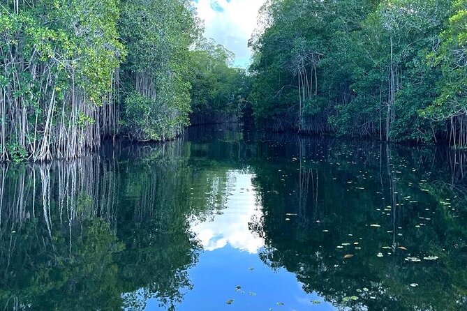 Tour to Black River and YS Falls - Stop 3: Floyd’s Pelican Bar, an ocean bar reached by boat