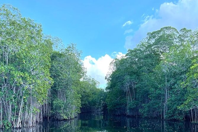 Tour to Black River and YS Falls - The guide effect: why Everald matters to your day