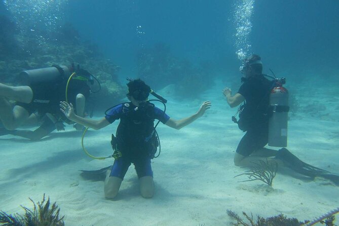 Two Tank Dive in Montego Bay w/Certified Divers - What the included gear and boat transfer mean for your day