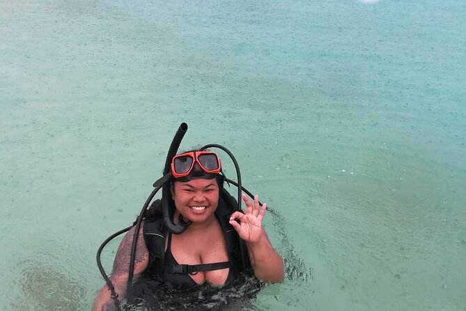 Two Tank Dive in Montego Bay w/Certified Divers - Marine life you can realistically look for on the reef