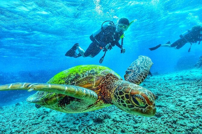Two Tank Dive in Montego Bay w/Certified Divers - Getting to Sunset Beach and starting at 8:00 am