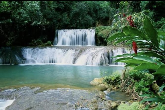 YS Falls and Appleton Estate Private Rum Tour - YS Falls: water time, rope swing moments, and a real reset
