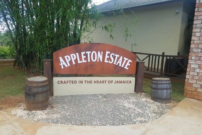 YS Falls and Appleton Estate Private Rum Tour - Appleton Estate Rum Experience: tastings and sugar cane details