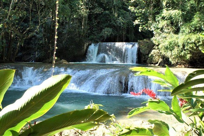 YS Falls and Black River Safari Guided Tour from Montego Bay and Grand Palladium - Black River Safari by Pontoon Boat: Birds, Plants, and Crocodiles Up Close