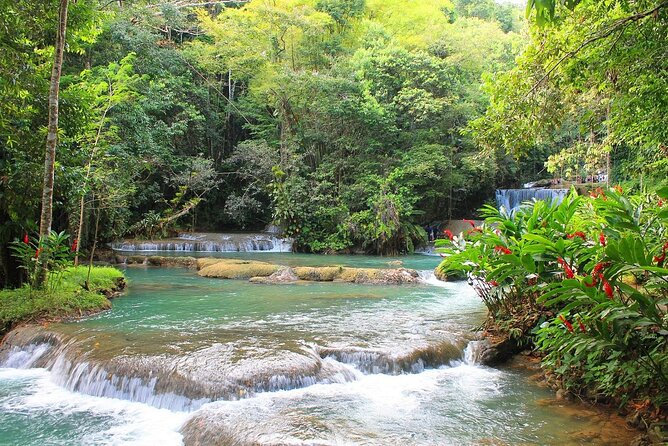 YS Falls and Black River Safari South Coast from Negril Jamaica - Key highlights at a glance