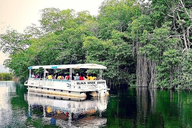 YS Falls and Black River Safari South Coast from Negril Jamaica - Price and logistics: what $129 really covers