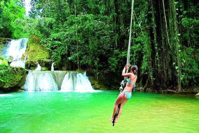 YS Falls and Black River Safari South Coast from Negril Jamaica - Black River Safari at J. Charles Swaby: mangroves and wildlife you can actually see