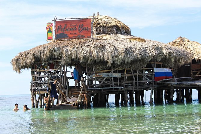 YS Falls, Black River Safari, and Floyd's Pelican Bar Day-Trip (Transportation) - Key Points to Know Before You Go