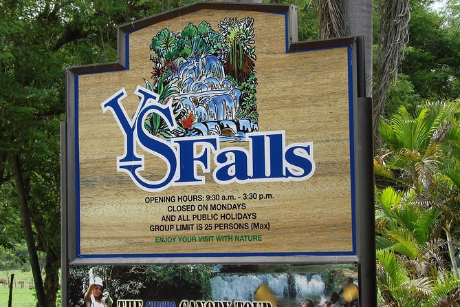 YS Falls, Black River Safari, and Floyd's Pelican Bar Day-Trip (Transportation) - Private Driver, Air-Conditioned Comfort, and a Day That Flows