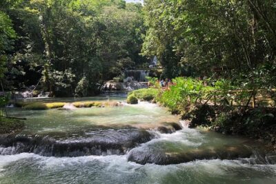 YS Falls, Black River Safari, and Floyd’s Pelican Bar Day-Trip (Transportation)