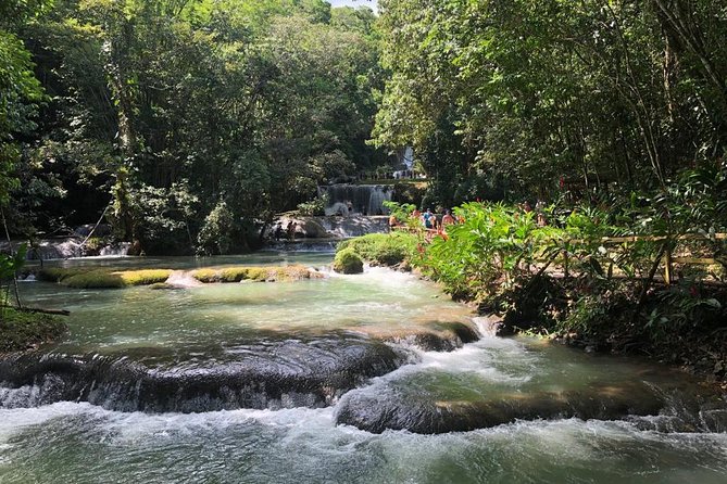 YS Falls, Black River Safari, and Floyd's Pelican Bar Day-Trip (Transportation) - The Value of the $133.29 Price (And What It Leaves Out)