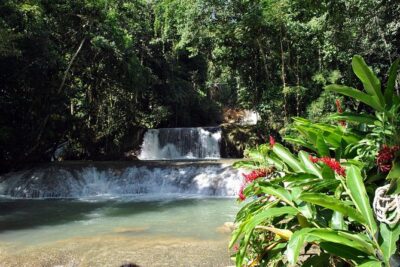 YS Falls, Black River Safari, Appleton Rum Tour OR Pelican Bar (Choose Up to 3)