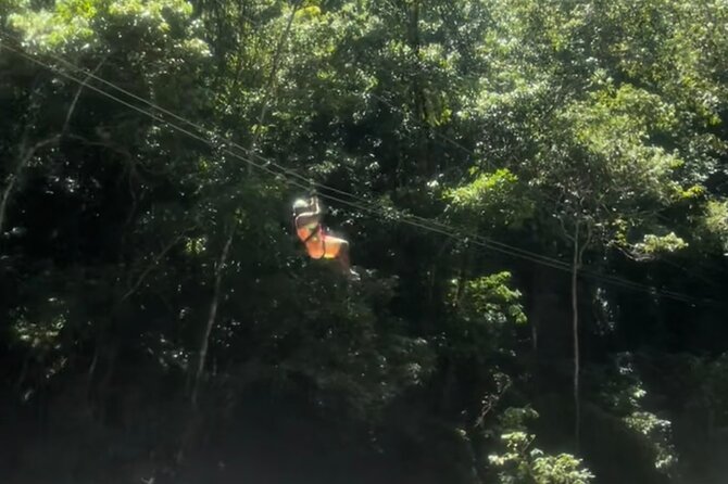 YS Falls, Black River Safari, Appleton Rum Tour OR Pelican Bar (Choose Up to 3) - A Smooth Full-Day Schedule from Montego Bay or Negril