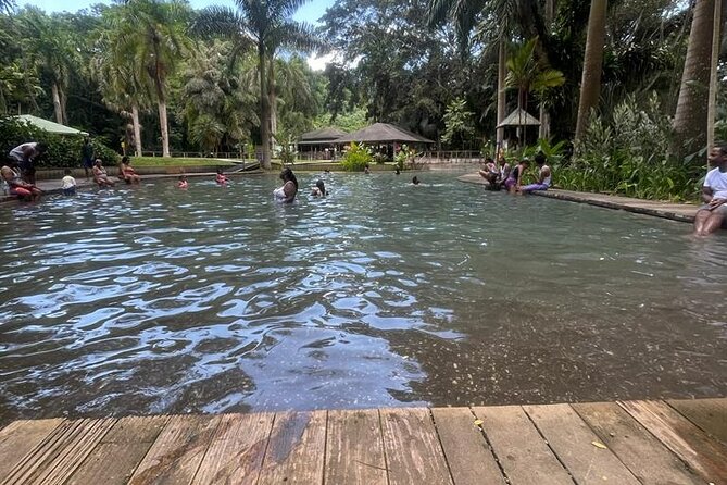 YS Falls, Black River Safari, Appleton Rum Tour OR Pelican Bar (Choose Up to 3) - Who This South Coast Tour Fits Best