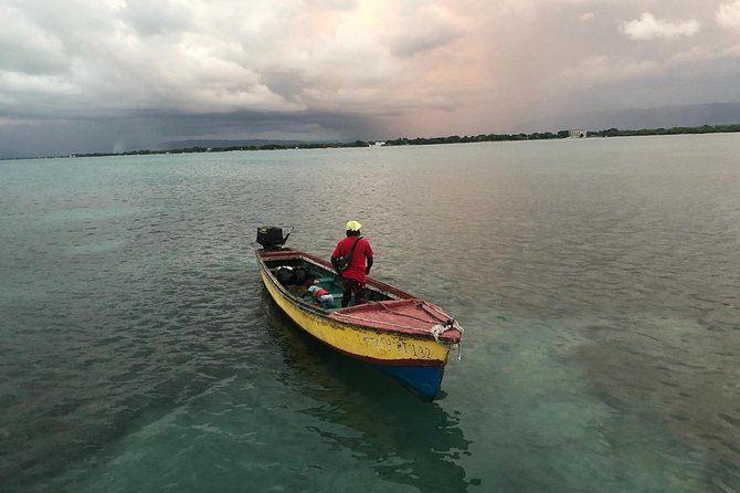 YS Falls, Black River Safari, Floyd’s Pelican Bar - Key Highlights You’ll Care About