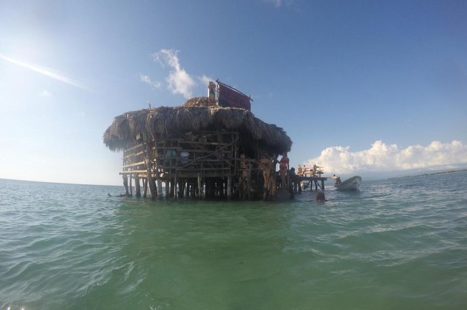 YS Falls, Black River Safari, Floyd’s Pelican Bar - Pickup, AC Comfort, and the Private Group Advantage