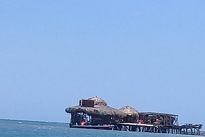 YS Falls & Pelican Bar Tour - Who this tour is best for, and who should skip it