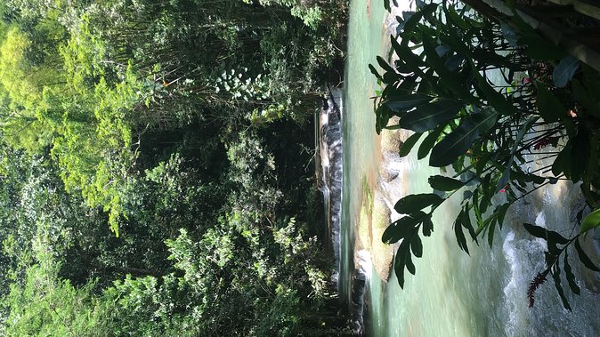 YS Falls Private Full-Day Adventure Tour with Pickup - Canopy rides and the top-to-base thrill: guided fun without chaos
