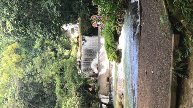 YS Falls Private Full-Day Adventure Tour with Pickup - Entering the falls compound: tickets, bathrooms, and that 10-minute ride