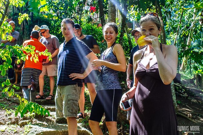 Zimbali's Rasta Tour Lunch - A Real Taste of Rastafari Life, Not a Drive-By Stop