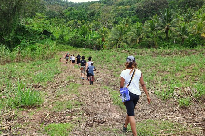 Zimbali's Rasta Tour Lunch - The Hike: Moderate Work, Doable With Good Shoes