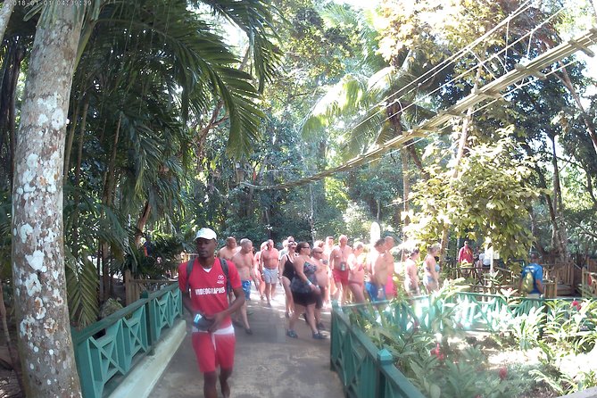 Zip Line over the Dunns River Falls - Key reasons this tour is worth a look
