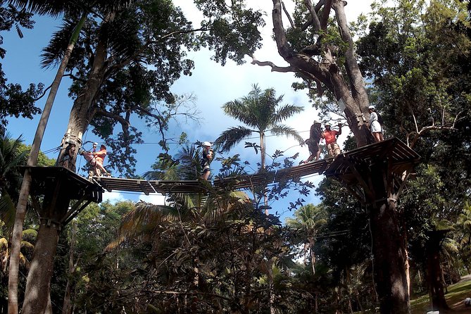 Zip Line over the Dunns River Falls - Dunn’s River Falls Zipline, why this combo makes sense