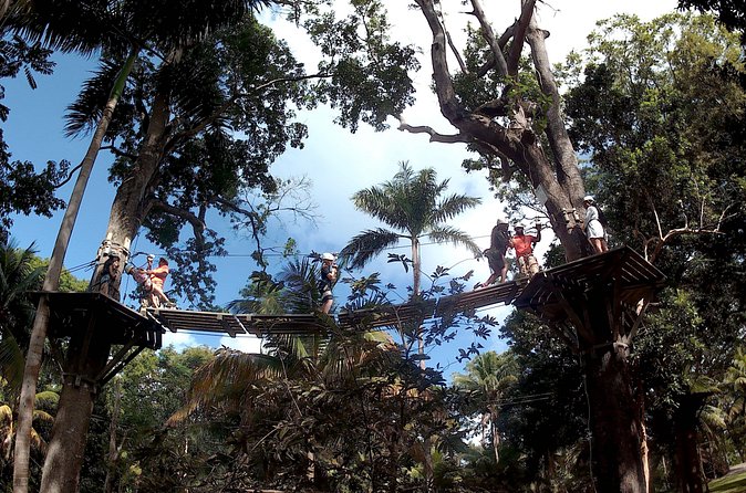 Zip Line over the Dunns River Falls - Over-the-park views and the two zipline course lengths to ask about