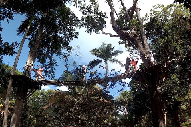 Zip Line over the Dunns River Falls - The special access pass at the falls, what it really buys you