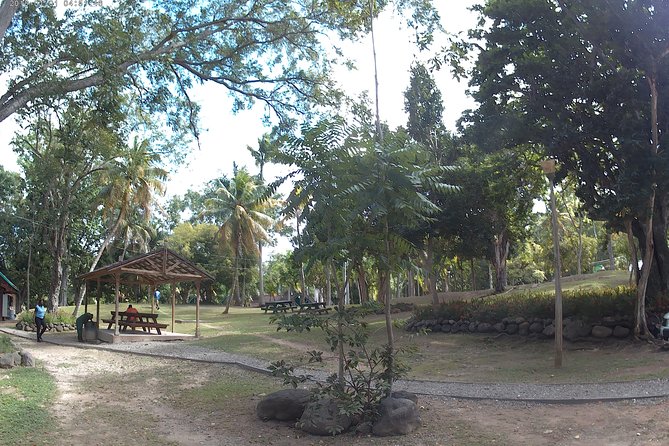 Zip Line over the Dunns River Falls - The value of a private guide, including what you can ask for