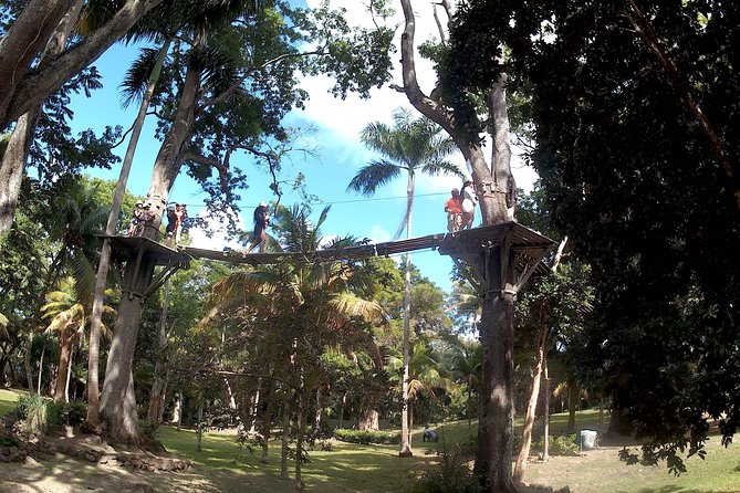 Zip Line over the Dunns River Falls - Price and value at about $192.67 per person
